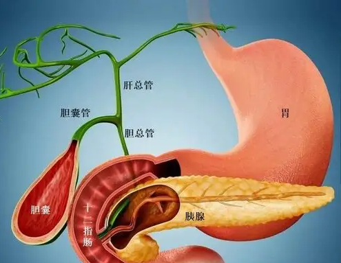 75岁母亲无私的爱让42岁女儿安然度过胰腺癌术后化疗期