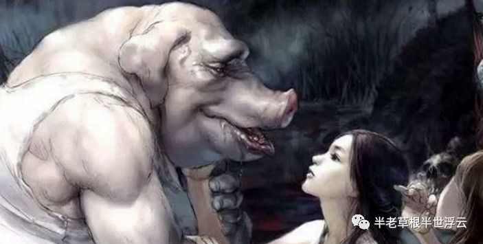 抱歉，他们生而为人(图11)