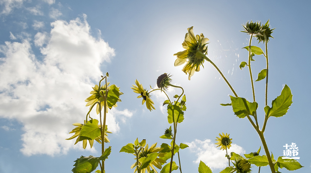 ����˽�̸ʱ����˵�Լ��������£�������Խ��Խ��