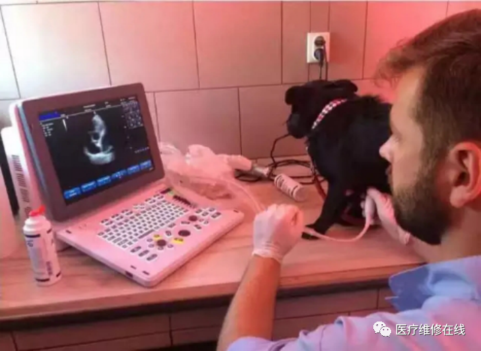 怎么选购黑白B超机B超机的好坏通过哪些参数判断_https://www.jmylbn.com_新闻资讯_第2张