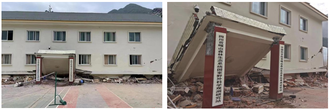 泸定地震导致山地所观测试验站办公楼破坏原因的推测的图6
