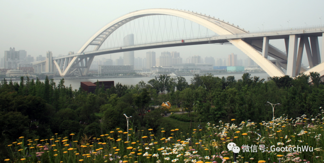 Top 5 系杆拱桥(Tied Arch Bridge)的图5