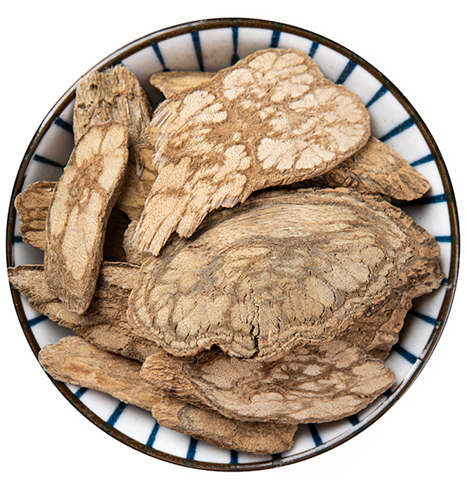 盘点83种2020版药典毒性中药【附高清药材图片】