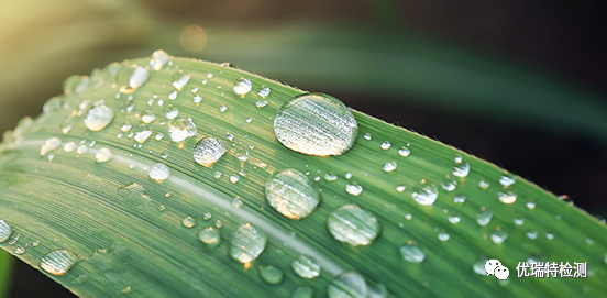 ̫ɼtyc122ccڼ⣺2022ڷż֪ͨ