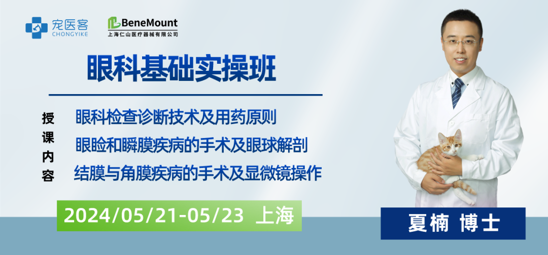 动物门诊用什么x光机10个常用小动物门诊眼科检查技巧_https://www.jmylbn.com_新闻资讯_第3张