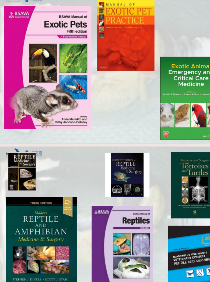 动物怎么麻醉手术环境、对象和物种差异对异宠麻醉的影响【长文预警】_https://www.jmylbn.com_新闻资讯_第14张