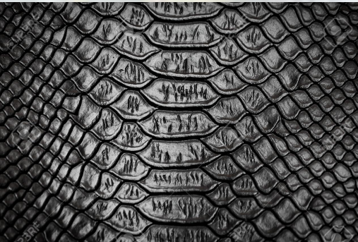 动物怎么麻醉手术环境、对象和物种差异对异宠麻醉的影响【长文预警】_https://www.jmylbn.com_新闻资讯_第31张