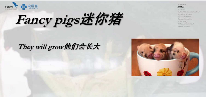 动物怎么麻醉手术环境、对象和物种差异对异宠麻醉的影响【长文预警】_https://www.jmylbn.com_新闻资讯_第41张