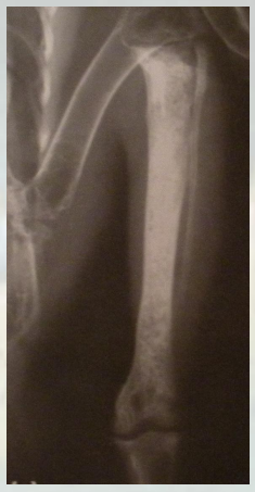 动物怎么麻醉手术环境、对象和物种差异对异宠麻醉的影响【长文预警】_https://www.jmylbn.com_新闻资讯_第32张