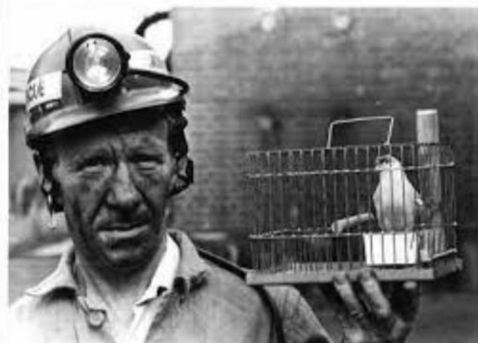 动物怎么麻醉手术环境、对象和物种差异对异宠麻醉的影响【长文预警】_https://www.jmylbn.com_新闻资讯_第36张