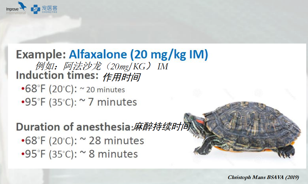 动物怎么麻醉手术环境、对象和物种差异对异宠麻醉的影响【长文预警】_https://www.jmylbn.com_新闻资讯_第21张