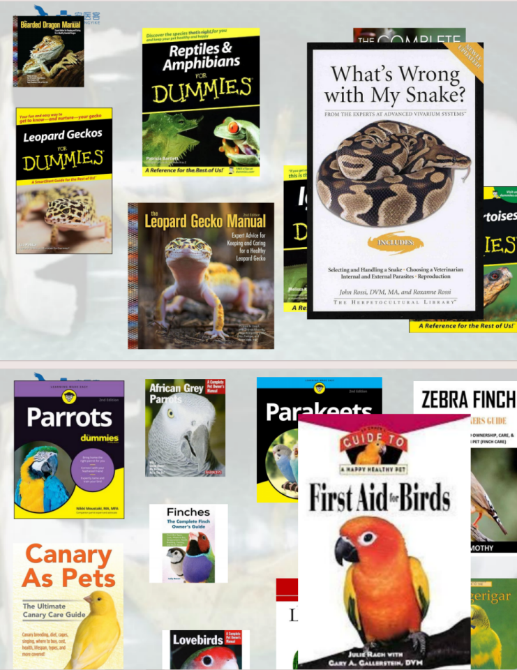 动物怎么麻醉手术环境、对象和物种差异对异宠麻醉的影响【长文预警】_https://www.jmylbn.com_新闻资讯_第13张