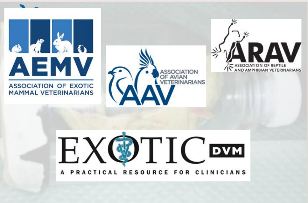 动物怎么麻醉手术环境、对象和物种差异对异宠麻醉的影响【长文预警】_https://www.jmylbn.com_新闻资讯_第15张