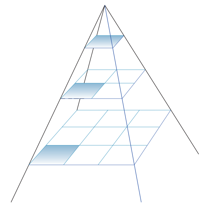 动物拍片腹部怎么摆小动物X线有哪2种辐射危害？辐射安全有哪3点原则？_https://www.jmylbn.com_新闻资讯_第9张