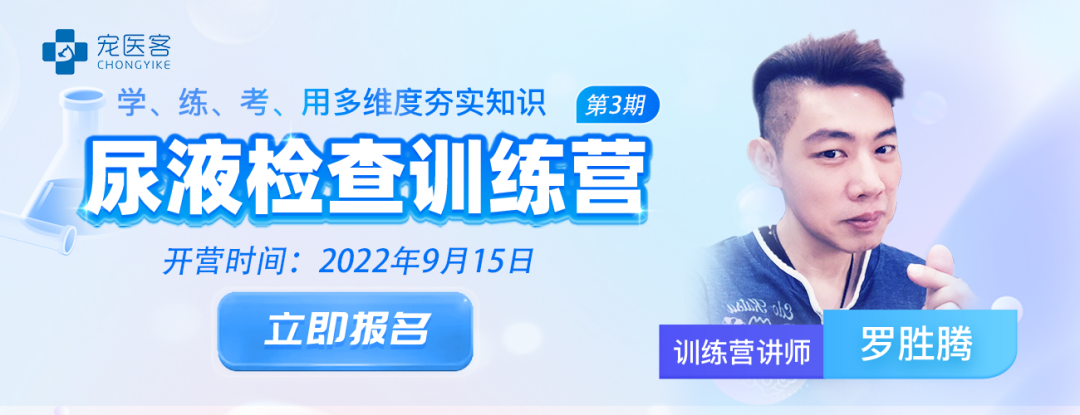动物拍片腹部怎么摆小动物X线有哪2种辐射危害？辐射安全有哪3点原则？_https://www.jmylbn.com_新闻资讯_第2张