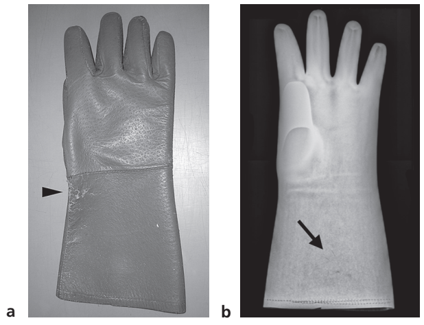 动物拍片腹部怎么摆小动物X线有哪2种辐射危害？辐射安全有哪3点原则？_https://www.jmylbn.com_新闻资讯_第10张