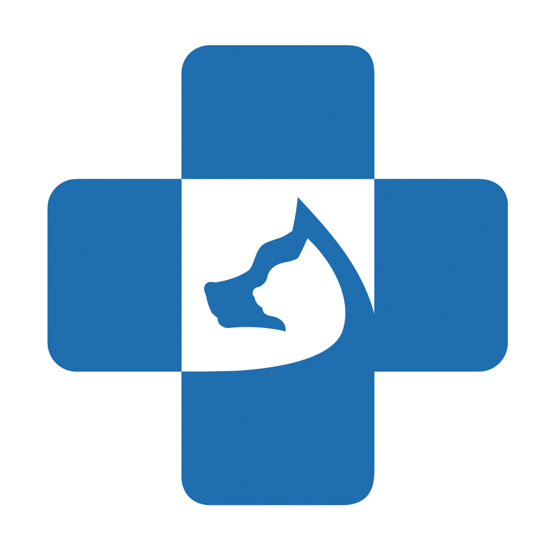 扎骨针怎么装盘点猫骨科手术的骨针与螺钉_https://www.jmylbn.com_新闻资讯_第4张