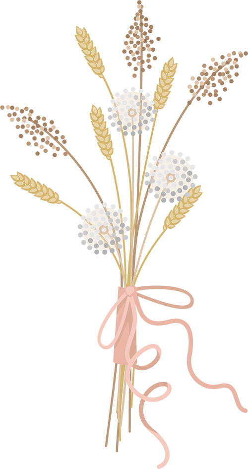 骨科有什么设备盘点猫骨科手术的5大类常用器械_https://www.jmylbn.com_新闻资讯_第5张