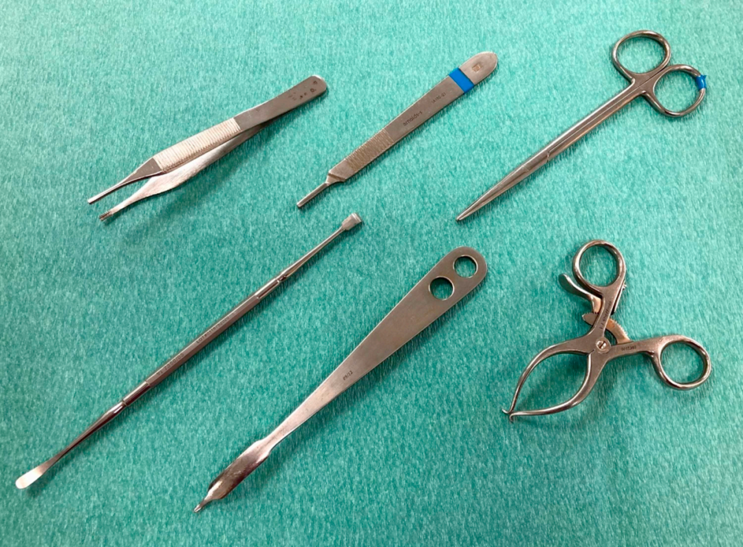 骨科有什么设备盘点猫骨科手术的5大类常用器械_https://www.jmylbn.com_新闻资讯_第9张