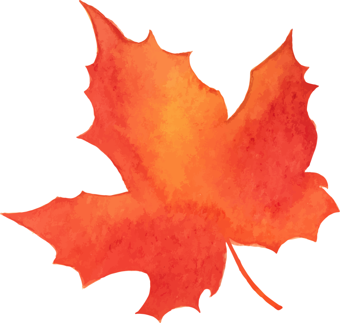 骨科有什么设备盘点猫骨科手术的5大类常用器械_https://www.jmylbn.com_新闻资讯_第13张