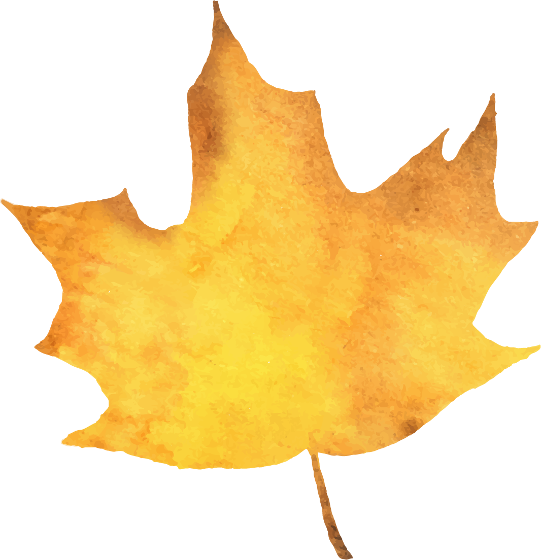 骨科有什么设备盘点猫骨科手术的5大类常用器械_https://www.jmylbn.com_新闻资讯_第14张