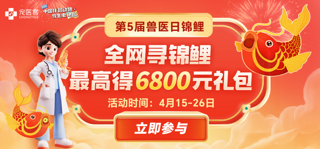 动物门诊用什么x光机10个常用小动物门诊眼科检查技巧_https://www.jmylbn.com_新闻资讯_第8张