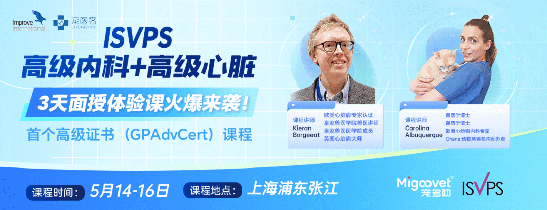 动物门诊用什么x光机10个常用小动物门诊眼科检查技巧_https://www.jmylbn.com_新闻资讯_第2张