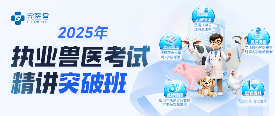喉镜怎么清洗兽医助理必会的麻醉指南：气管插管的详细操作步骤、吸氧益处与清洗方法_https://www.jmylbn.com_新闻资讯_第10张