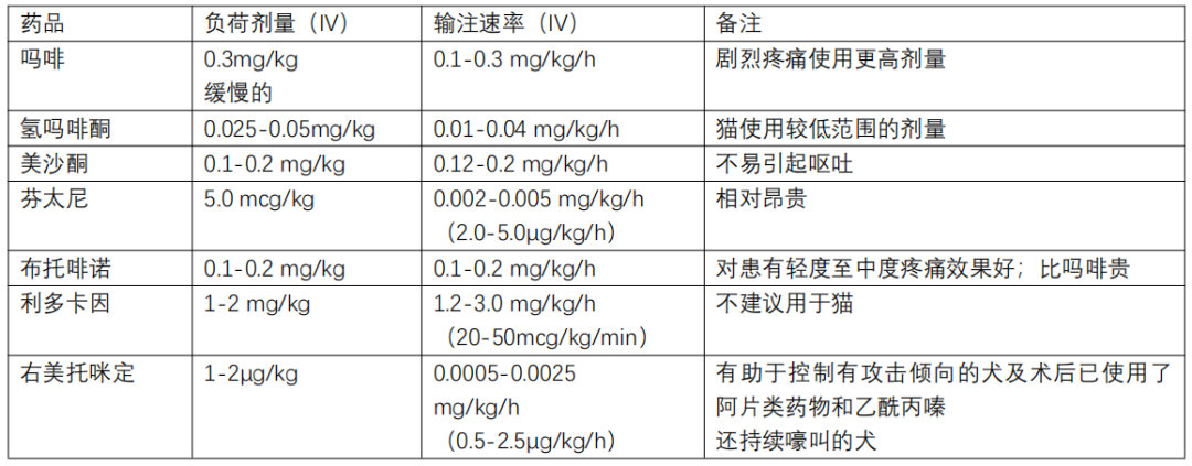 为什么使用注射泵为什么及怎样使用CRI对小动物进行镇痛？_https://www.jmylbn.com_新闻资讯_第2张