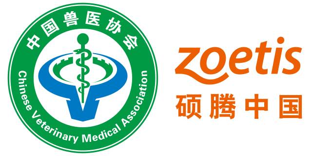 2017"世界兽医日 为爱奔跑"震撼来袭!