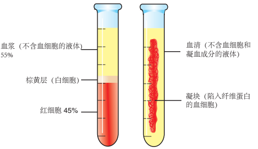 为什么用氟化钠抗凝【血液学必知】血样各成分的区别（血清、血浆、抗凝剂）_https://www.jmylbn.com_新闻资讯_第3张