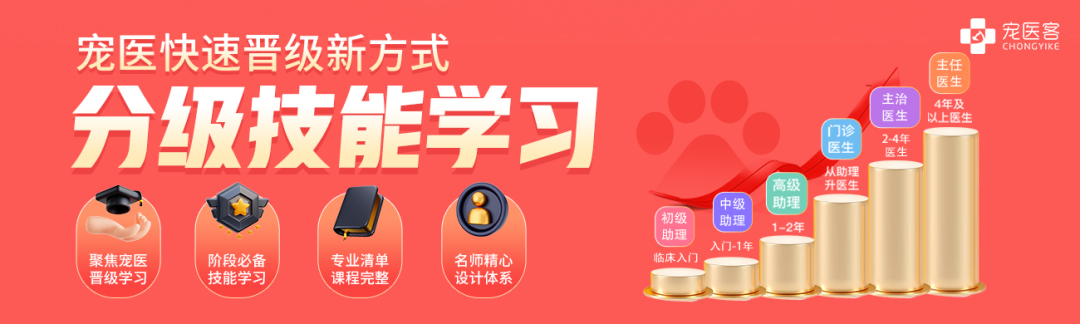 动物怎么麻醉盘点提高动物舒适度与麻醉安全的5大常用局部麻醉技术_https://www.jmylbn.com_新闻资讯_第8张