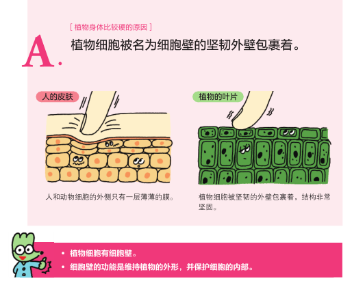 理科学习 想要孩子学懂会用不畏难 这个方式简单有趣对症 Michael钱儿频道 微信公众号文章阅读 Wemp