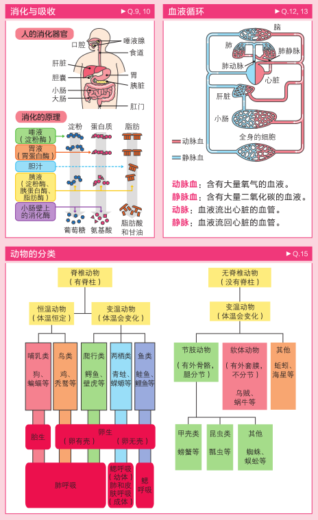 理科学习 想要孩子学懂会用不畏难 这个方式简单有趣对症 Michael钱儿频道 微信公众号文章阅读 Wemp