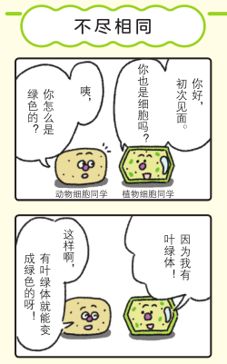 理科学习 想要孩子学懂会用不畏难 这个方式简单有趣对症 Michael钱儿频道 微信公众号文章阅读 Wemp