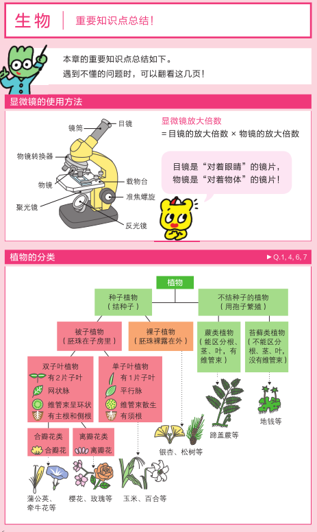 理科学习 想要孩子学懂会用不畏难 这个方式简单有趣对症 Michael钱儿频道 微信公众号文章阅读 Wemp