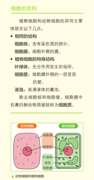 理科学习 想要孩子学懂会用不畏难 这个方式简单有趣对症 Michael钱儿频道 微信公众号文章阅读 Wemp