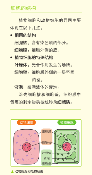 理科学习 想要孩子学懂会用不畏难 这个方式简单有趣对症 Michael钱儿频道 微信公众号文章 微小领