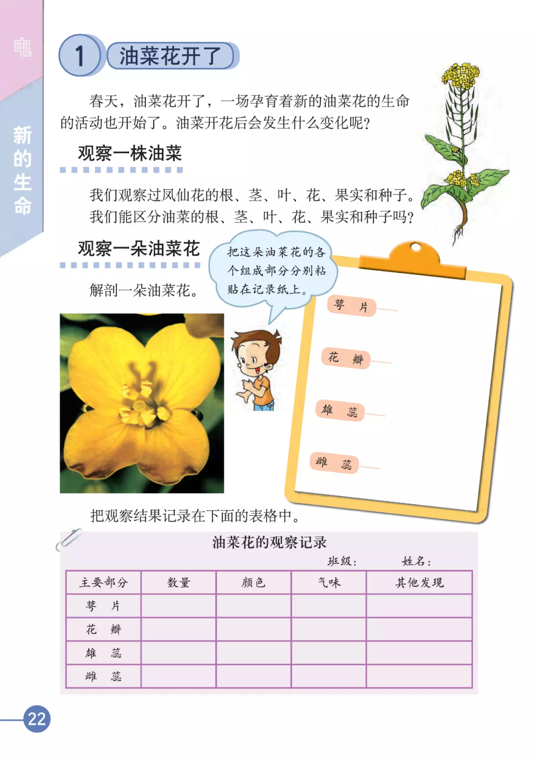 己思 从小学就开始的生物课 原来可以这样事半功倍地学