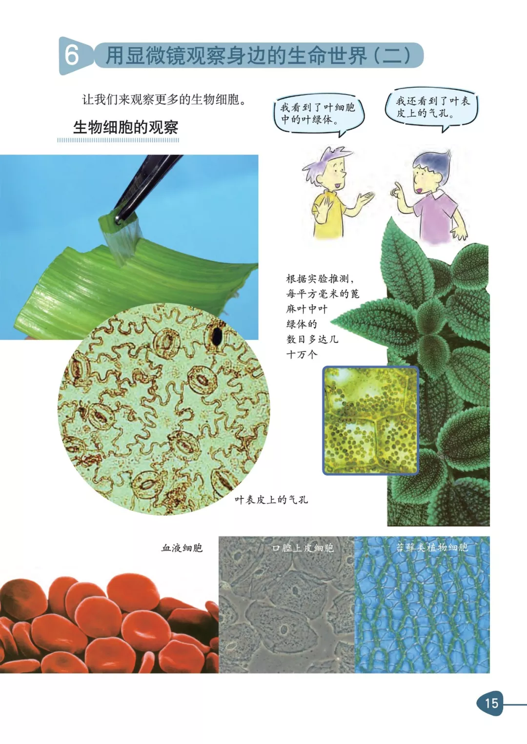 己思 从小学就开始的生物课 原来可以这样事半功倍地学