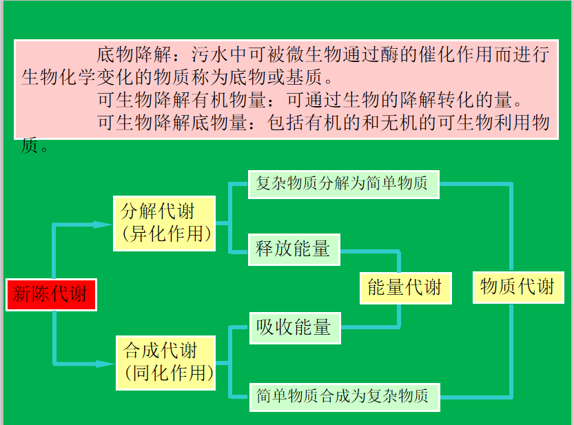 生活污水处理-一级处理：沉淀池的图19