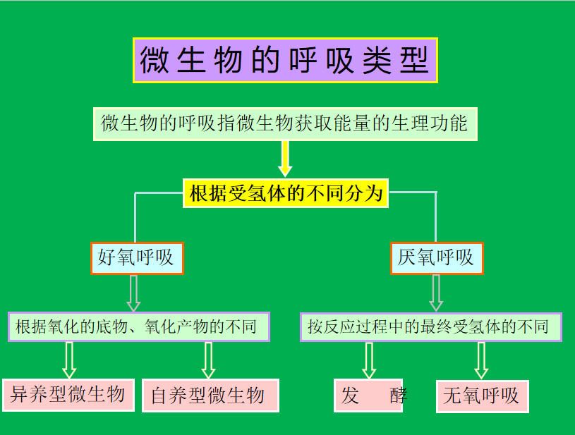 生活污水处理-一级处理：沉淀池的图21