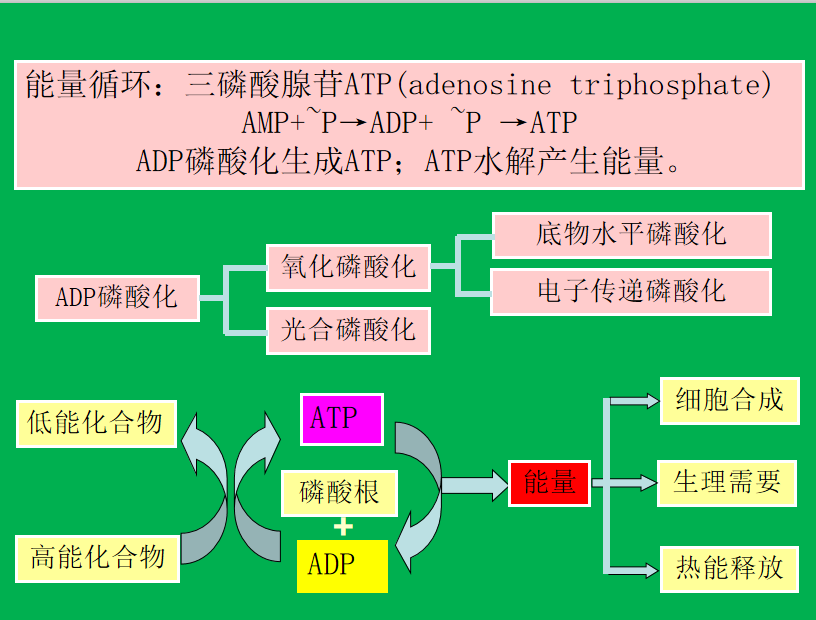 生活污水处理-一级处理：沉淀池的图20