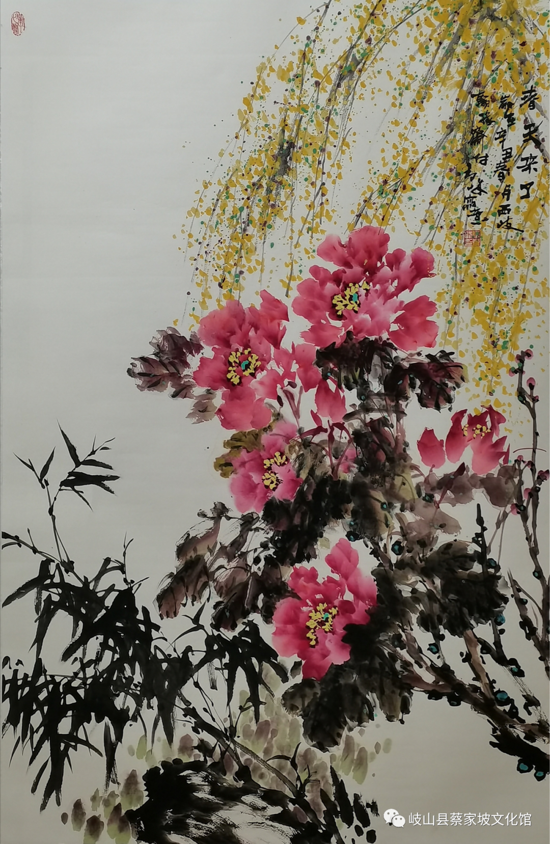 图片