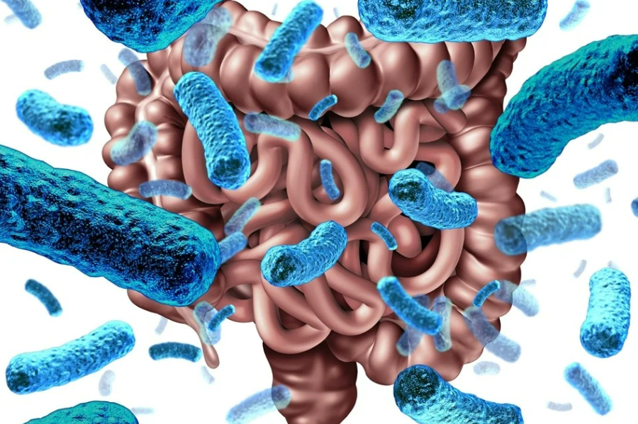 结肠癌高发，肠道微生物失调才是“背后元凶”！