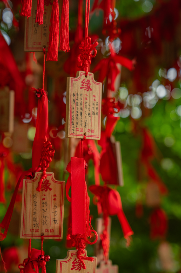 d23385e5-c00f-4cb1-9dc3-4217e62c081a.png