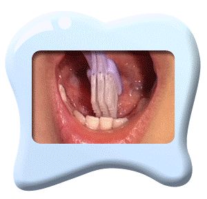 口腔百科丨认识0-6岁宝宝的小乳牙