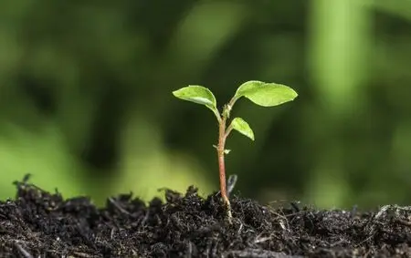 每亩使用多少生物有机肥 土壤有机质才能增加1 菌肥 生物有机肥 土壤调理剂 菌剂 根力多股份