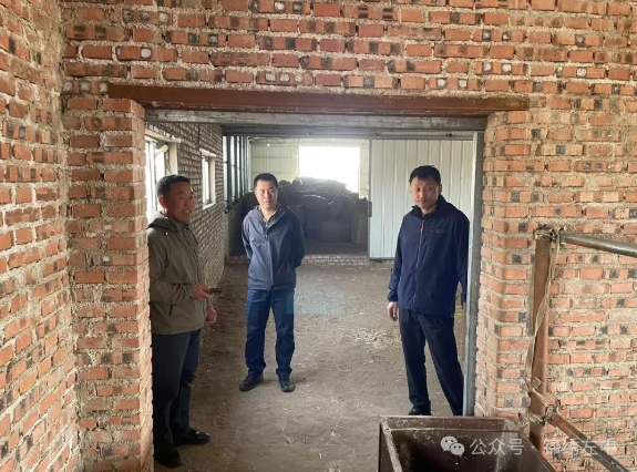 宝龙山镇党委组织人员到前玛尼吐嘎查,塔本格勒嘎查实地查看违法用地