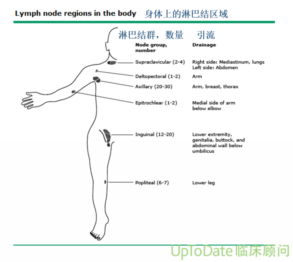 压力绷带为什么那么贵警惕这种“肿”！不敢乱运动！_https://www.jmylbn.com_新闻资讯_第2张
